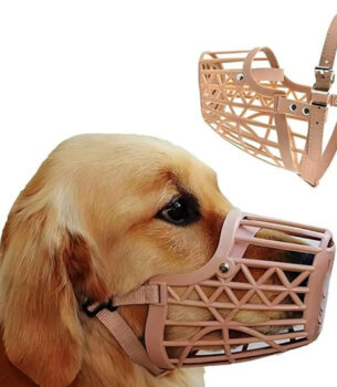 Muzzle Cap