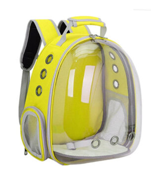 PET TRANSPARENT BAG