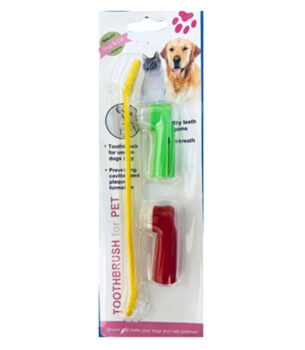 Tooth Brush